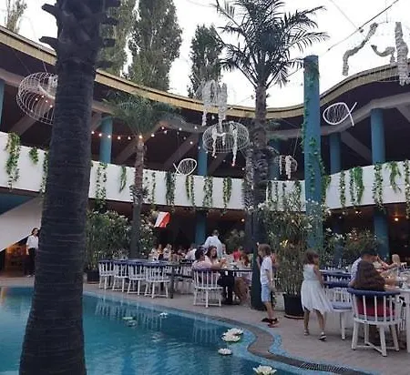 Apartel 22